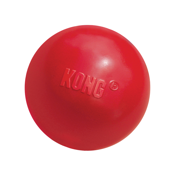 Kong Ball w/Hole