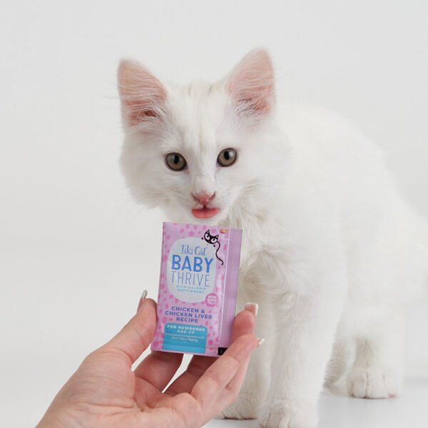 Tiki Cat Baby Thrive Chicken & Chicken Liver Recipe – Sachets 20 unid - Imagen 2