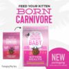 Tiki Cat Baby Kitten Health, Deboned Chicken & Egg Recipe – 1.27kg - Imagen 3