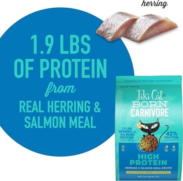 Tiki Cat High Protein Herring & Salmon Recipe - Imagen 5