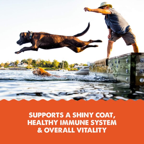 Grizzly Salmon Oil Omega Plus - Imagen 5