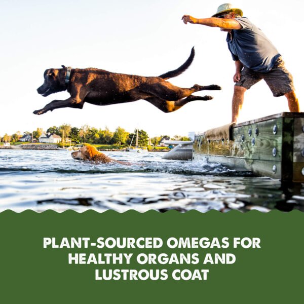 Grizzly Algae Plus Oil Omega - Imagen 5
