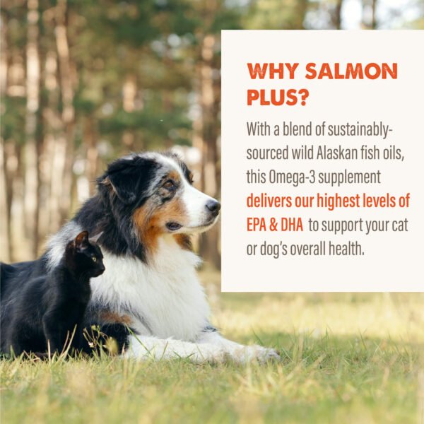 Grizzly Salmon Oil Omega Plus - Imagen 9