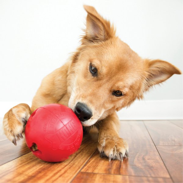 Kong Biscuit Ball - Imagen 2