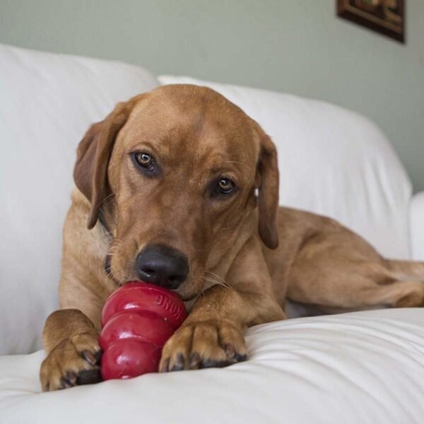 Kong Stuff´n Sweet Potato Sread - Imagen 4