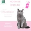 Menforsan Antiestrés para Gatos – 125ml - Imagen 4
