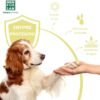 Menforsan Protector Solar Factor 50 para Perros y Gatos - Imagen 4
