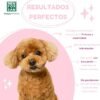 Menforsan Shampoo Acondicionador Desenredante Antinudos - Imagen 5
