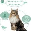 Menforsan Shampoo Repelente de Insectos con Citronella para Gatos - Imagen 6