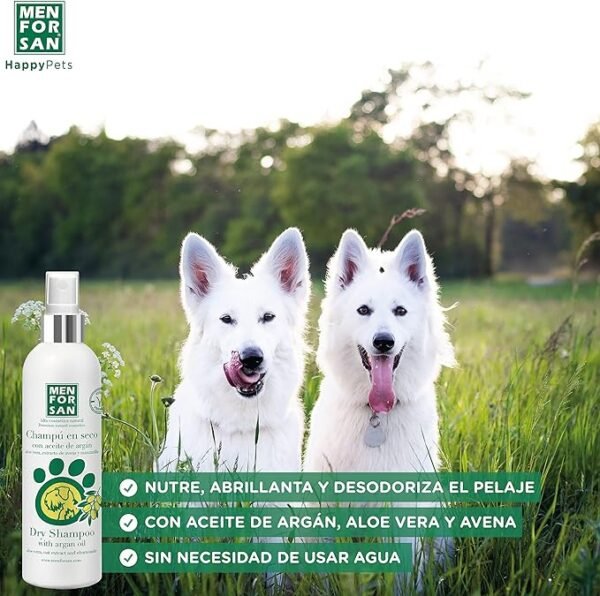 Menforsan Shampoo en Seco con Aceite de Argan - Imagen 4