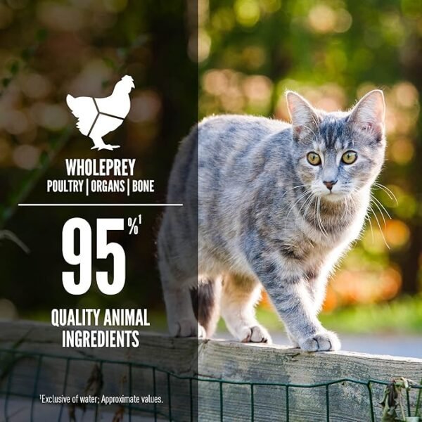 ORIJEN Duck & Chicken Entree Wet Cat Food - Imagen 2