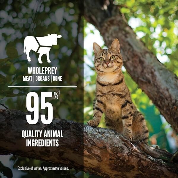 ORIJEN Regional Red Entree Wet Cat Food - Imagen 2