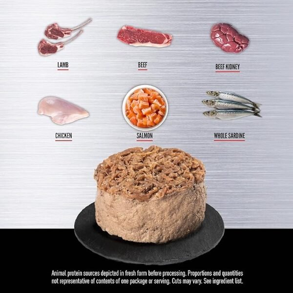 ORIJEN Regional Red Entree Wet Cat Food - Imagen 3