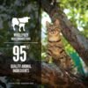 ORIJEN Tuna, Salmon & Beef Entree Wet Cat Food - Imagen 2
