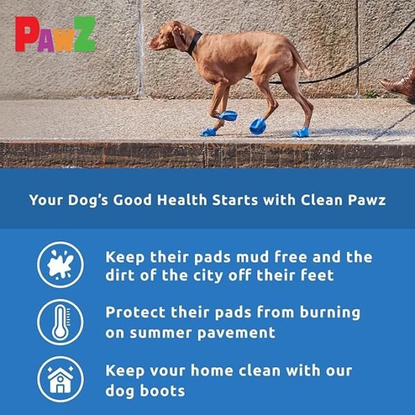 PawZ Botas de Goma para Perros Medium – 12 unid. - Imagen 4