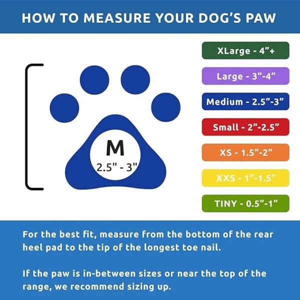 PawZ Botas de Goma para Perros Medium – 12 unid. - Imagen 8