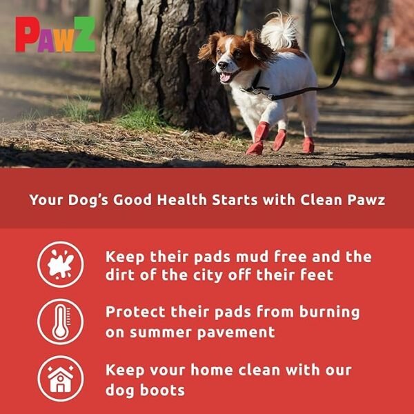 PawZ Botas de Goma para Perros Small – 12 unid. - Imagen 4