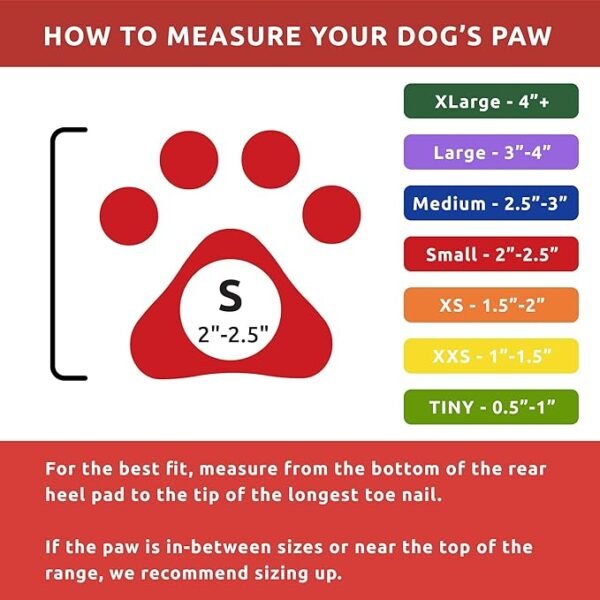 PawZ Botas de Goma para Perros Small – 12 unid. - Imagen 8