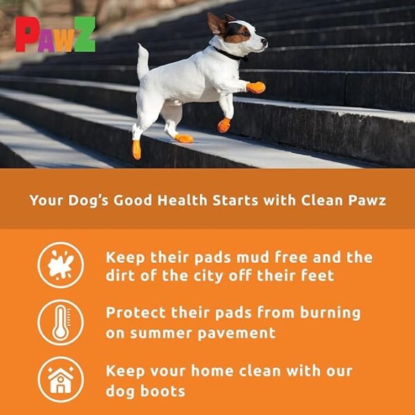 PawZ Botas de Goma para Perros XS – 12 unid. - Imagen 4