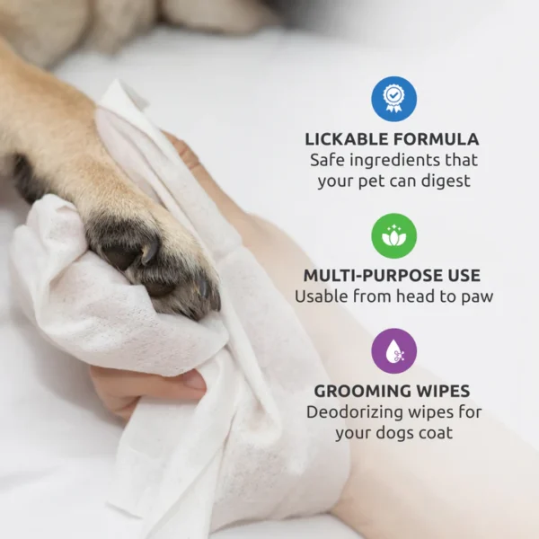 PawZ Toallitas Antibacterianas Sanipaw – Pote x 60 unid. - Imagen 5