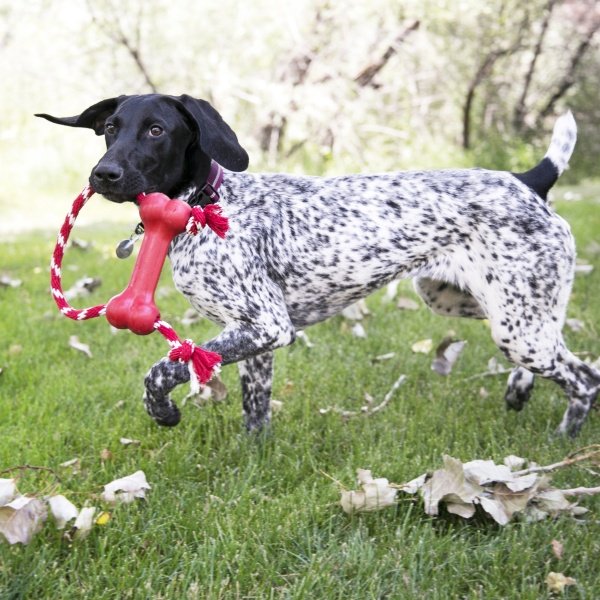 Kong Goodie Bone w/Rope - Imagen 2
