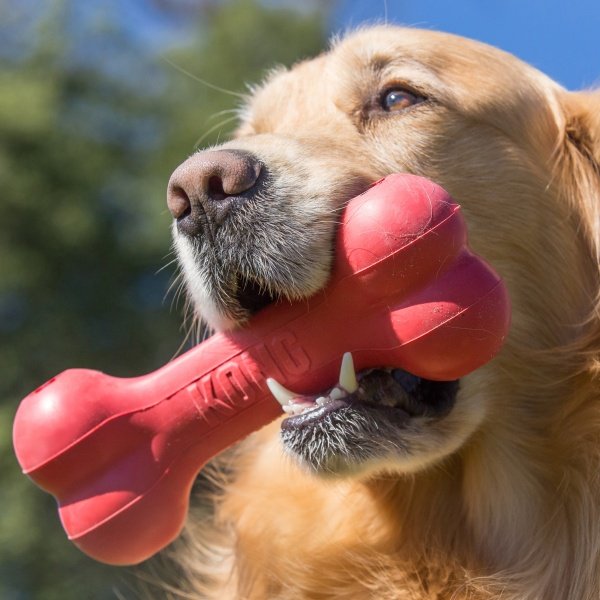 Kong Goodie Bone - Imagen 2