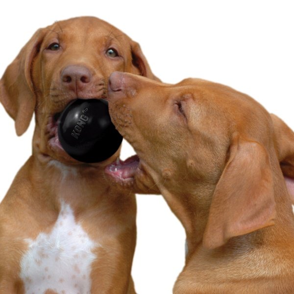 Kong Extreme Ball - Imagen 2