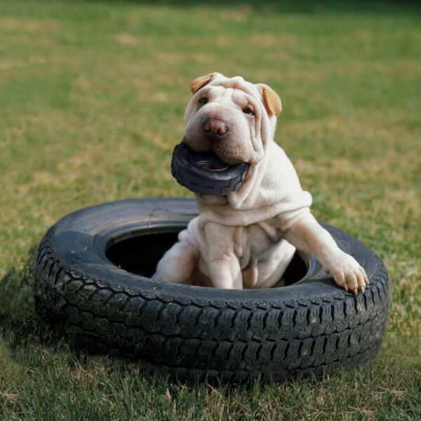 Kong Extreme Tires - Imagen 2