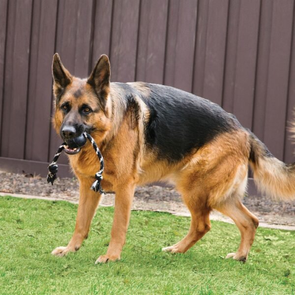 Kong Extreme Ball w/Rope - Imagen 2
