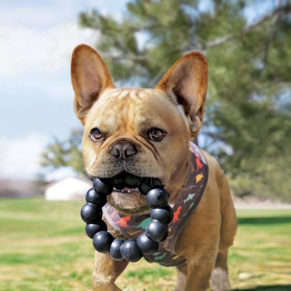 Kong Extreme Ring - Imagen 2