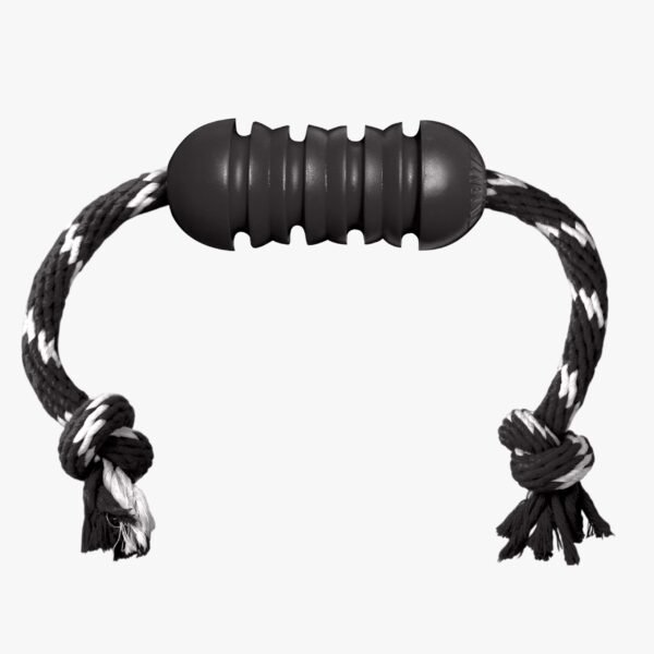 Kong Extreme Dental w/Rope