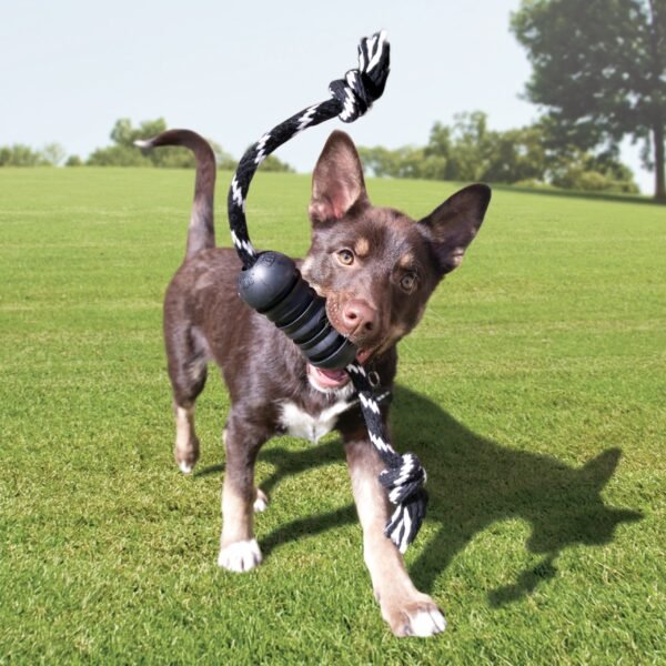 Kong Extreme Dental w/Rope - Imagen 2