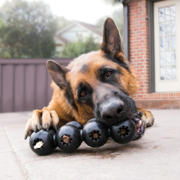 Kong Extreme Goodie Ribbon - Imagen 2