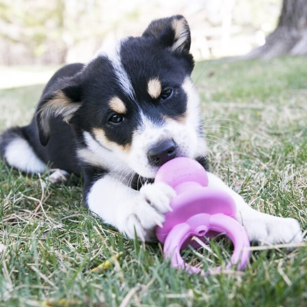 Kong Puppy Binkie - Imagen 2