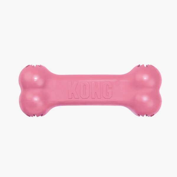 Kong Puppy Goodie Bone
