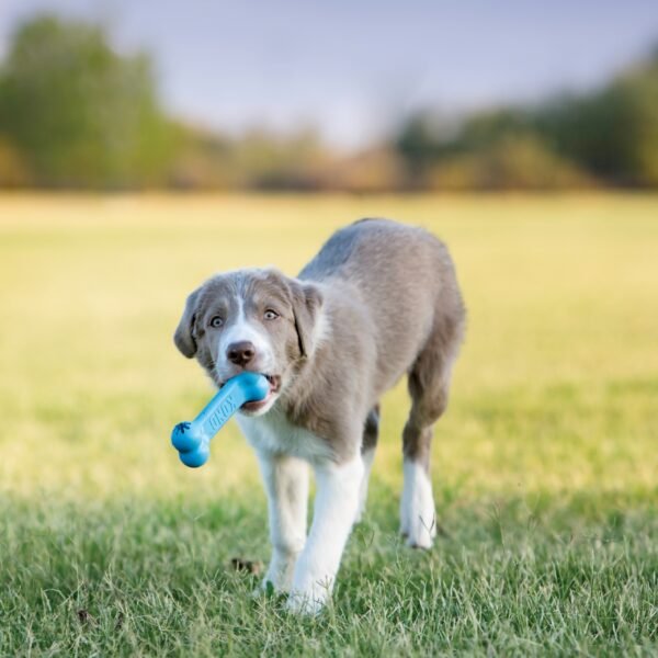 Kong Puppy Goodie Bone - Imagen 2