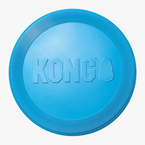 Kong Puppy Flyer