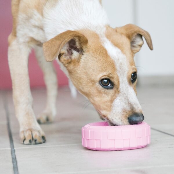 Kong Puppy Tires - Imagen 2