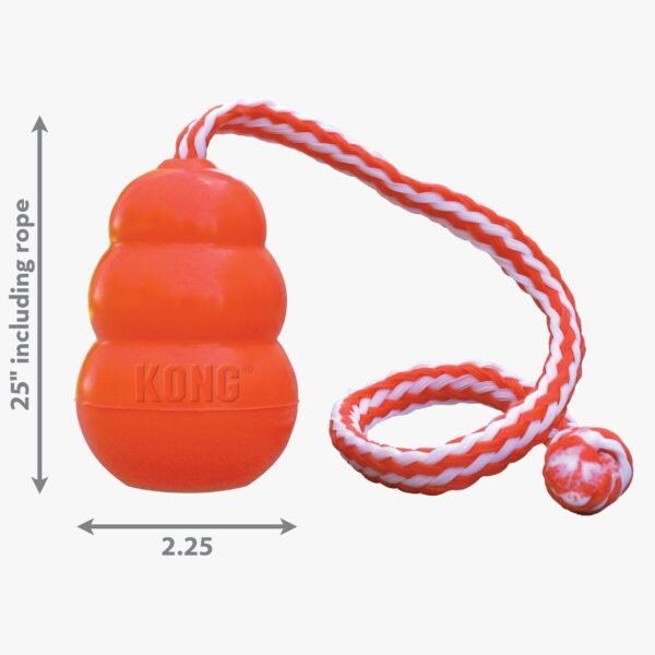 Kong Aqua - Imagen 4