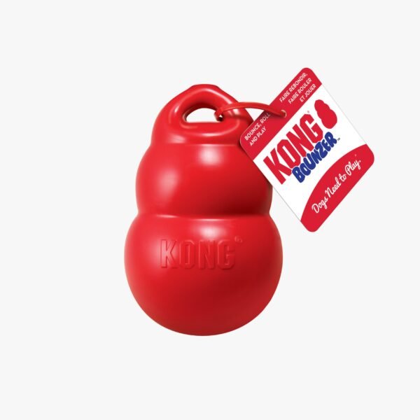 Kong Bounzer - Imagen 3