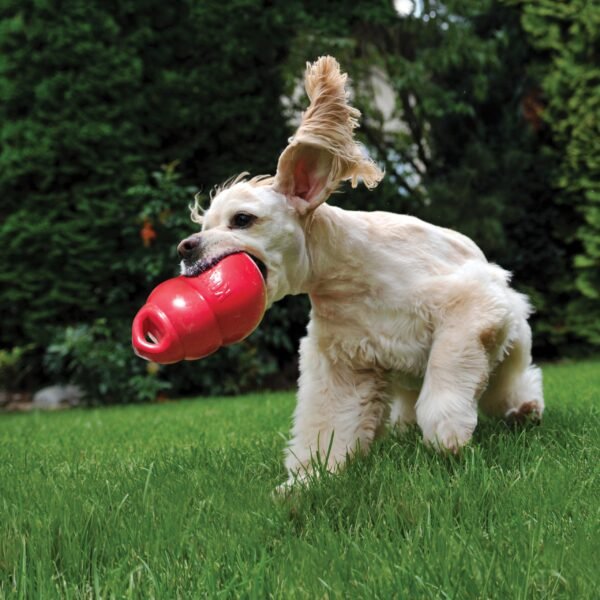 Kong Bounzer - Imagen 2
