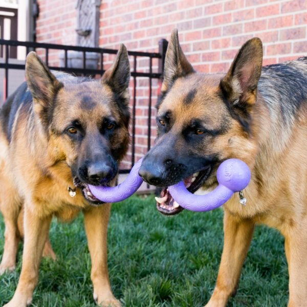 Kong Ogee Stick - Imagen 2