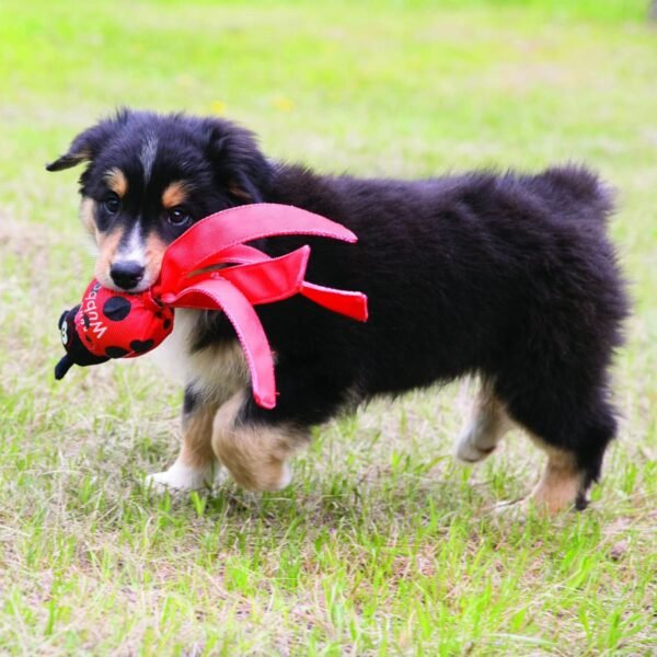Kong Wubba Bug - Imagen 2