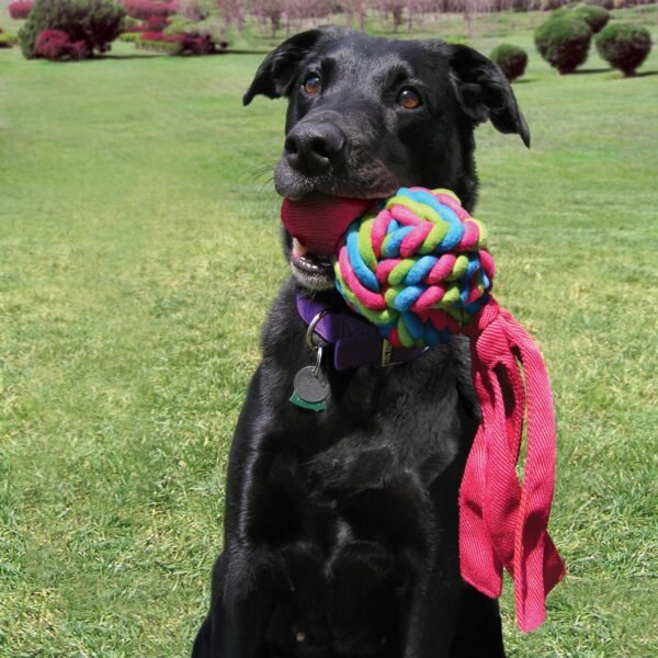 Kong Wubba Weaves - Imagen 2