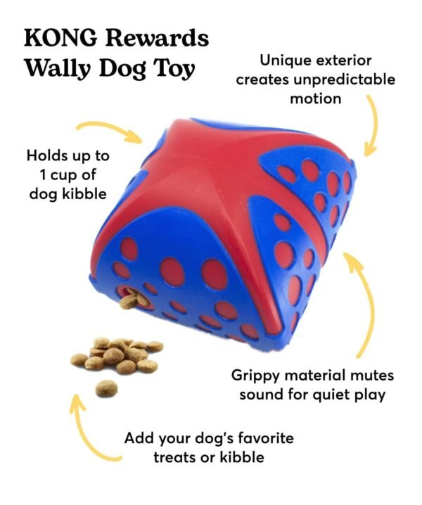 Kong Rewards Wally - Imagen 3