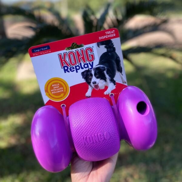 Kong Replay - Imagen 4