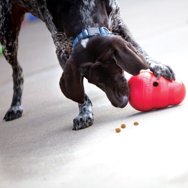 Kong Wobbler - Imagen 2
