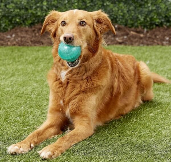 Kong Squeezz Crackle Ball - Imagen 2