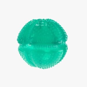 Kong Squeezz Dental Ball