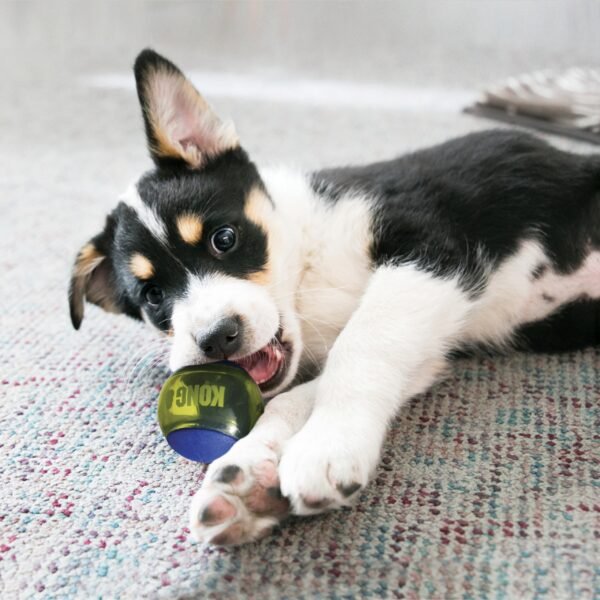 Kong Squeezz Action Ball Blue - Imagen 2